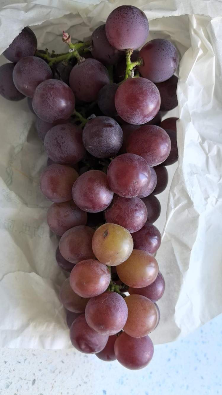 盛夏新鲜水果61葡萄