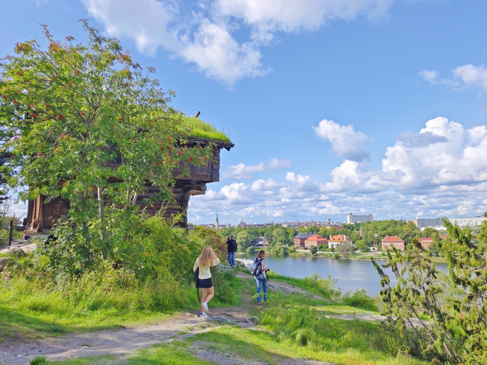 不可错过斯德哥尔摩动物园岛瑞典旅行必游景点