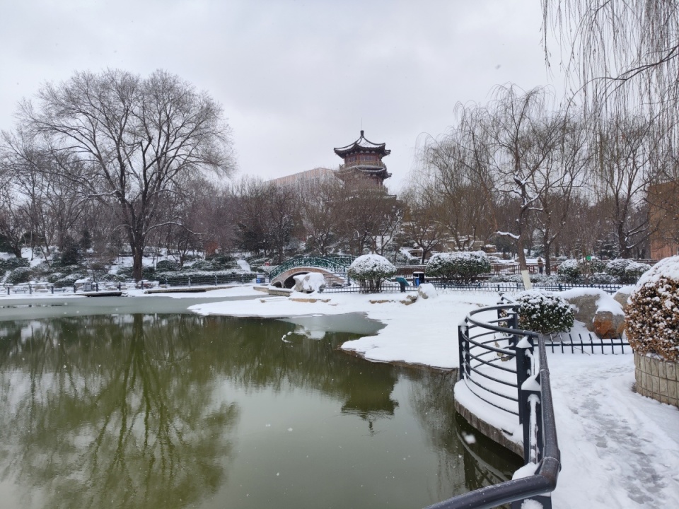 博览组图淄博人民公园宛如冰雪王国