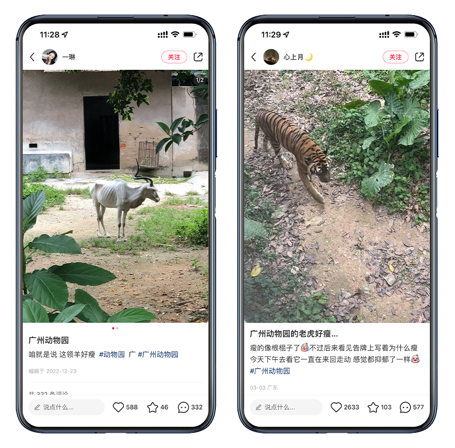 为什么周末广州有一半人都去了广州动物园？最新肖毅新闻2023已更新(知乎/腾讯)最新肖毅新闻