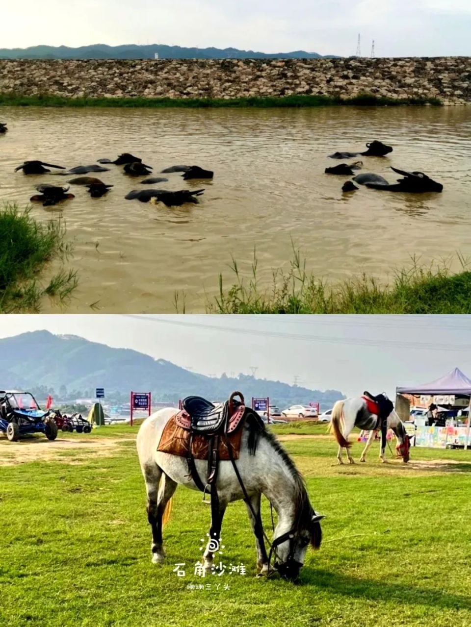 清远石角沙滩,北江河畔纳凉避暑游玩,攻略来了