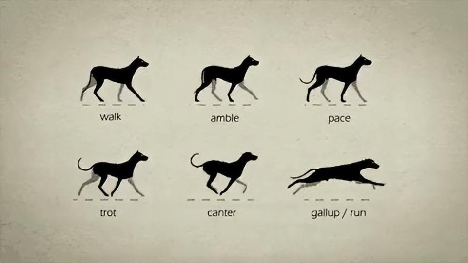 人类祖先经历了什么,才被逼进化成了恐怖直立猿?