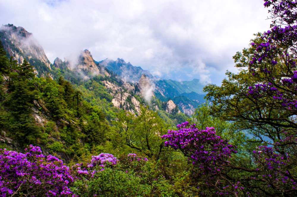 高山美景图片大全图片