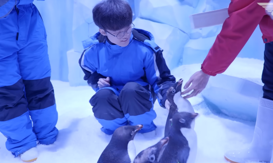 企鹅:faker在2019年12月来上海参加活动时,近距离摸了企鹅后非常开心