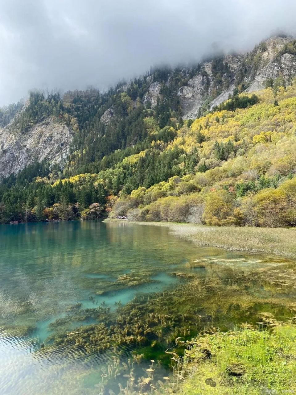 九寨沟是哪里的著名风景区?四川的人间仙境,等你来发现它的美!