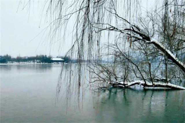 古诗六首说冬柳眉上冬天出柳梢梢寒柳出疏篱