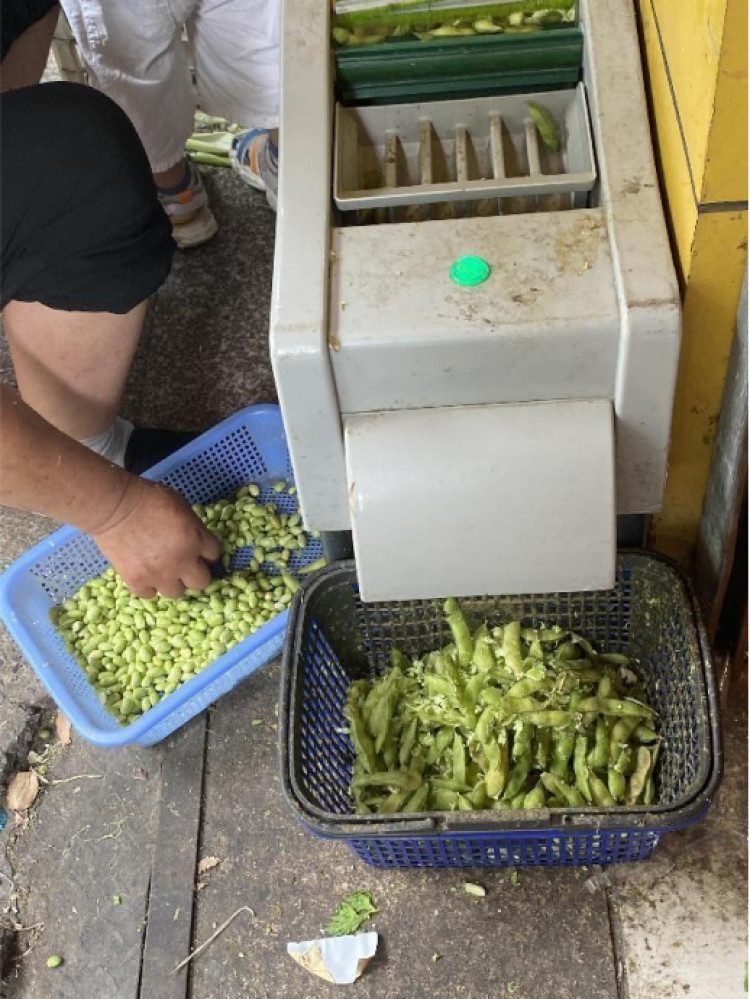 鲜毛豆脱壳机效率高