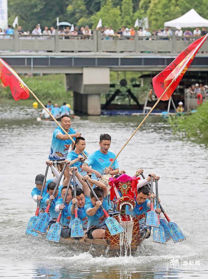 杭州蒋村龙舟奋楫迎端午
