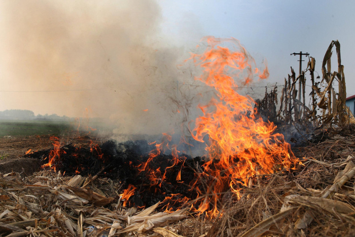 广西及湖南长沙和衡阳等多地探讨或实行了允许有条件焚烧秸秆的政策