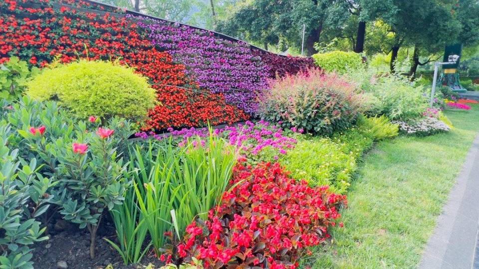 "栽花""养花"也有规范 成都出台地栽花卉栽植技术规程等地方标准