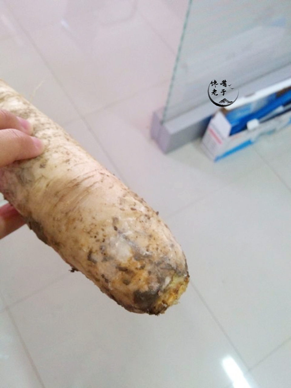 圖片