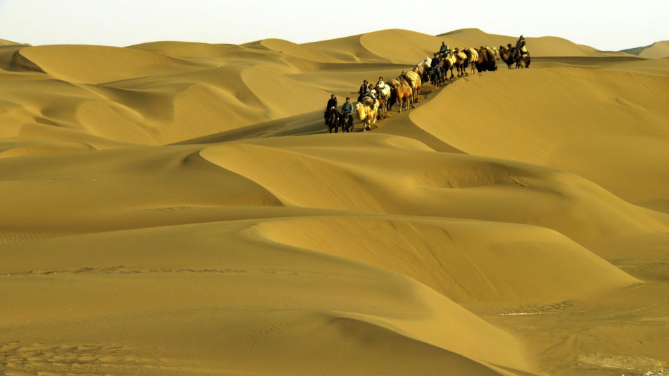 电影骆驼客:四部影片揭秘中国快递鼻祖的神秘之处,惊险又刺激