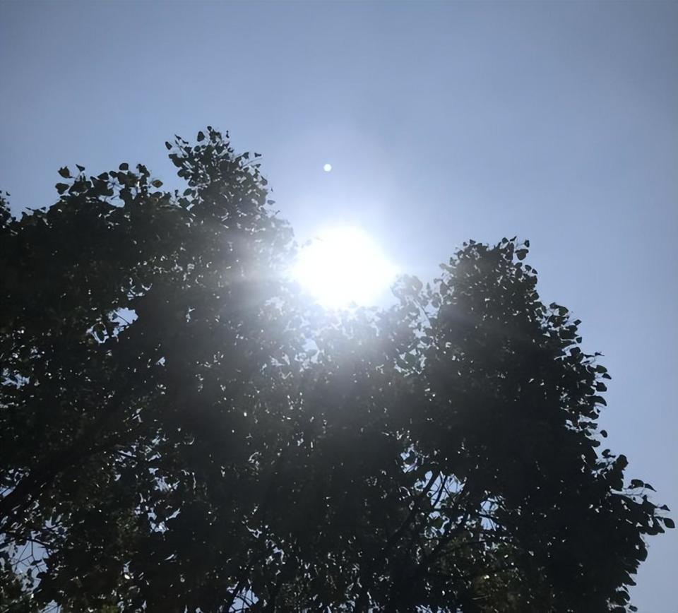 641