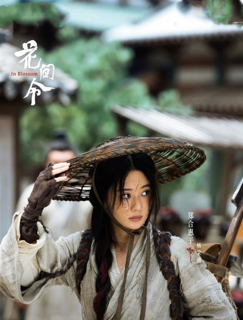 才播7集热度爆了鞠婧祎这部新剧成2024开年最大黑马