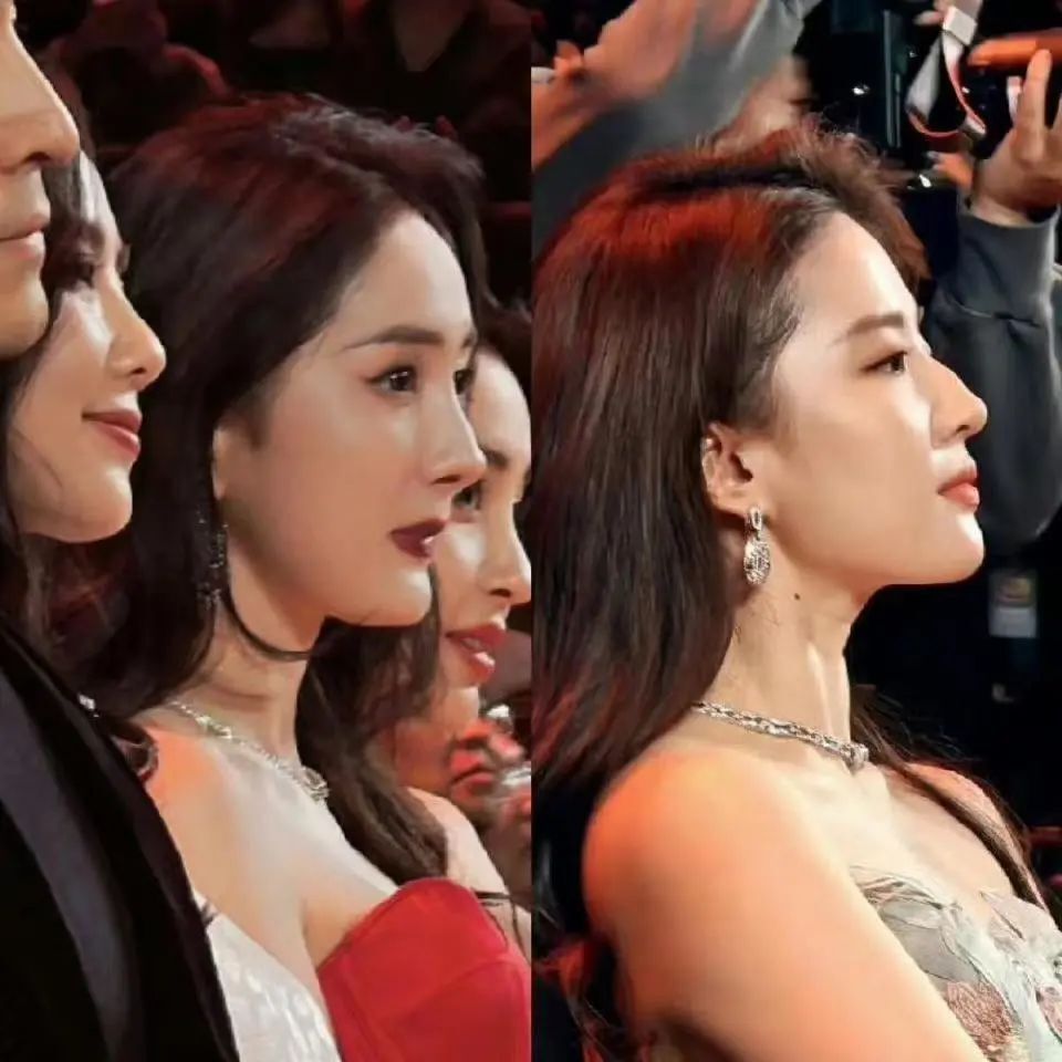 看了杨幂和刘亦菲的合照才知道杨幂的颜值没有被低估