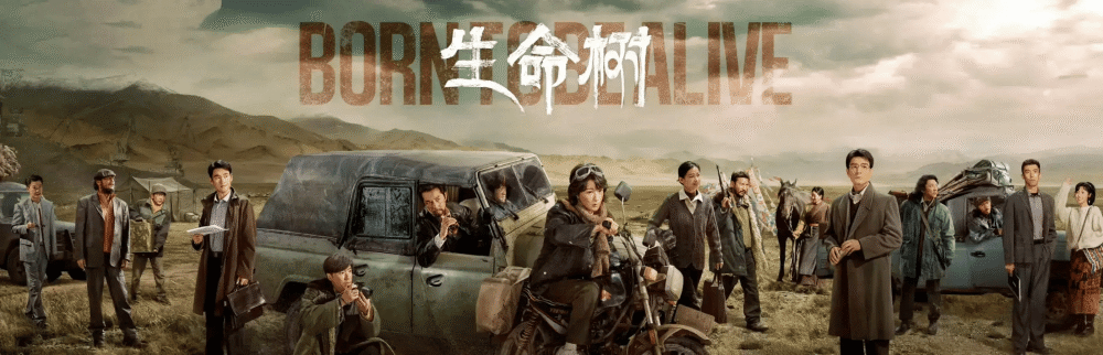 《生命树》直到多杰失踪，白菊还不知，丁东董事长才是“老板”_腾讯新闻