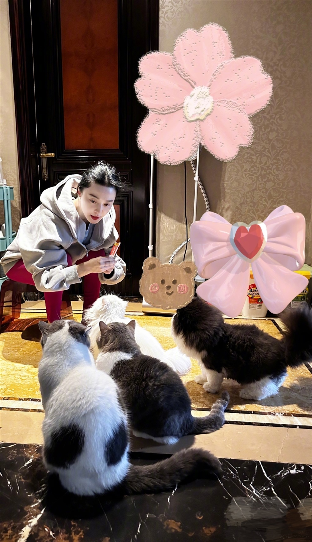 5月6日,范冰冰还晒出自己喂猫的照片,照片中范冰冰素颜出镜,皮肤白皙