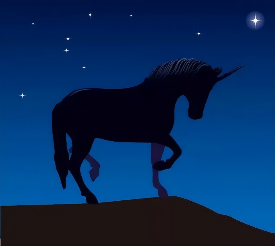 胡润榜:全球十大独角兽企业中国占四,北京数量最多,合肥增长最快_腾讯