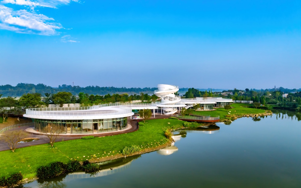 金马河水奔流至温江和盛镇,舒展成一处清幽的自然湿地,这就是鲁家滩