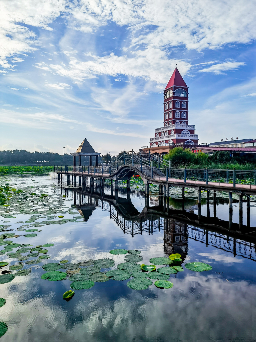 一定要去的日照海滨森林公园,绝美景色不容错过!