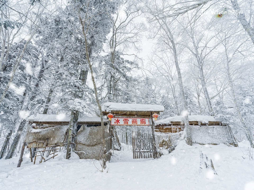 雪乡十里画廊徒步“雪窝子” 但冰雪梦幻景色实在让人痴迷！-腾讯新闻