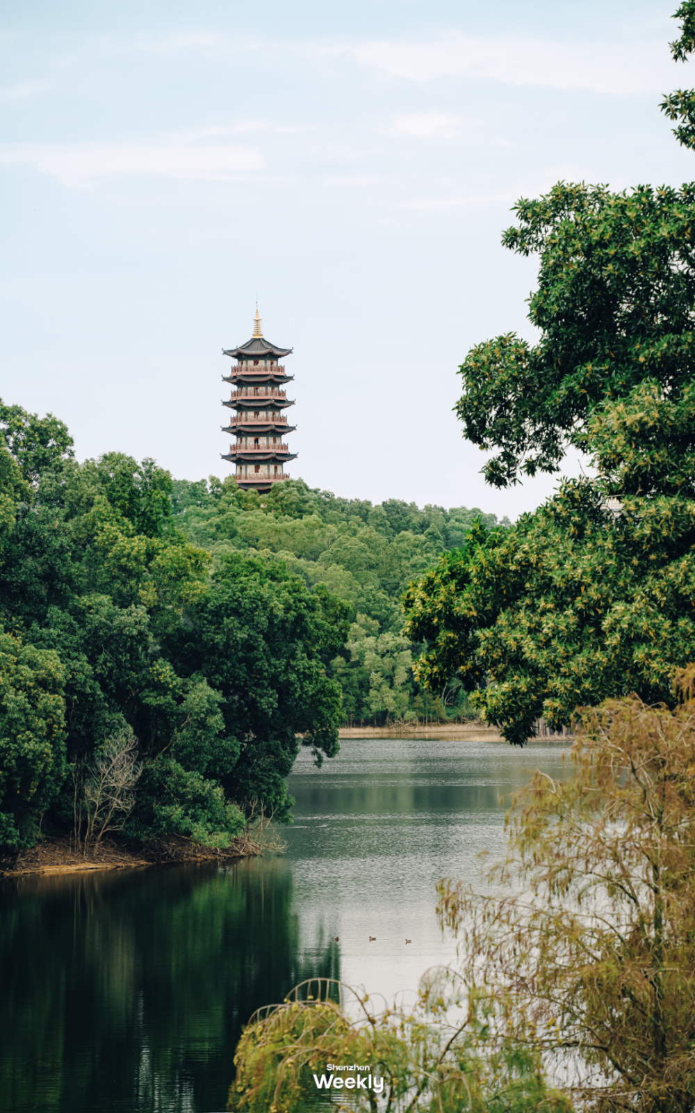 尽情享受自然也被称作是深圳版的"小西湖"它,是坪山人私藏的宝藏公园