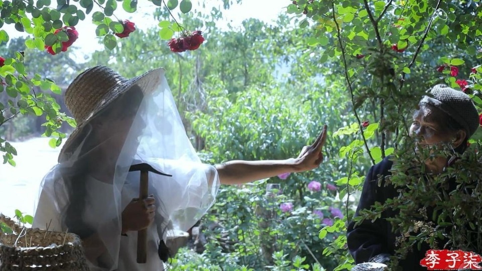 李子柒近况曝光何时回归仍不确定网友直呼太遗憾