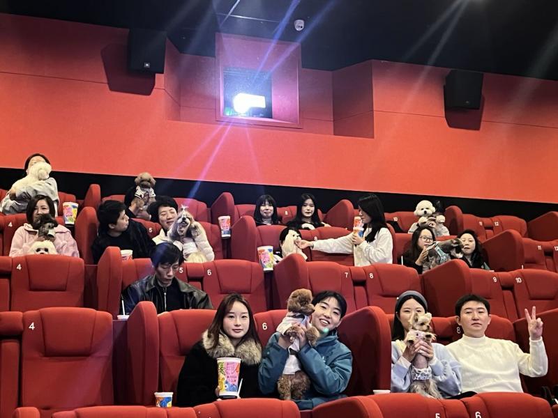 “瘋狂”電影城：從“毛孩子”聚會到“胡蘿蔔”熱銷