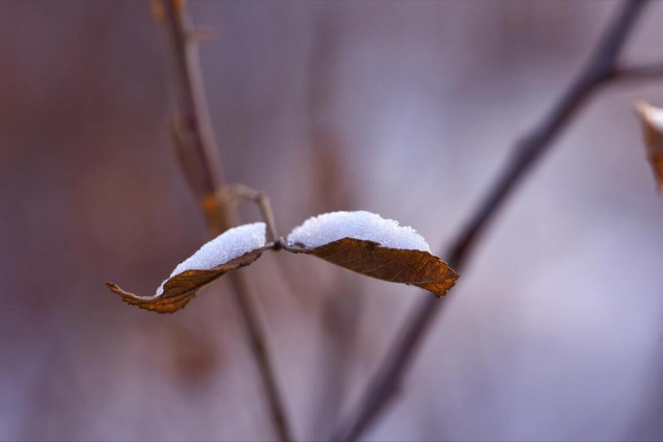 明日十一月初一,老人说雨打冬月头,来年起坟头,是啥意思?