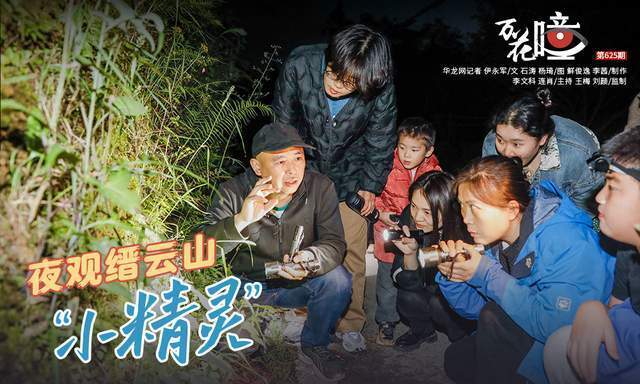 万花瞳 | 夜观缙云山"小精灵"