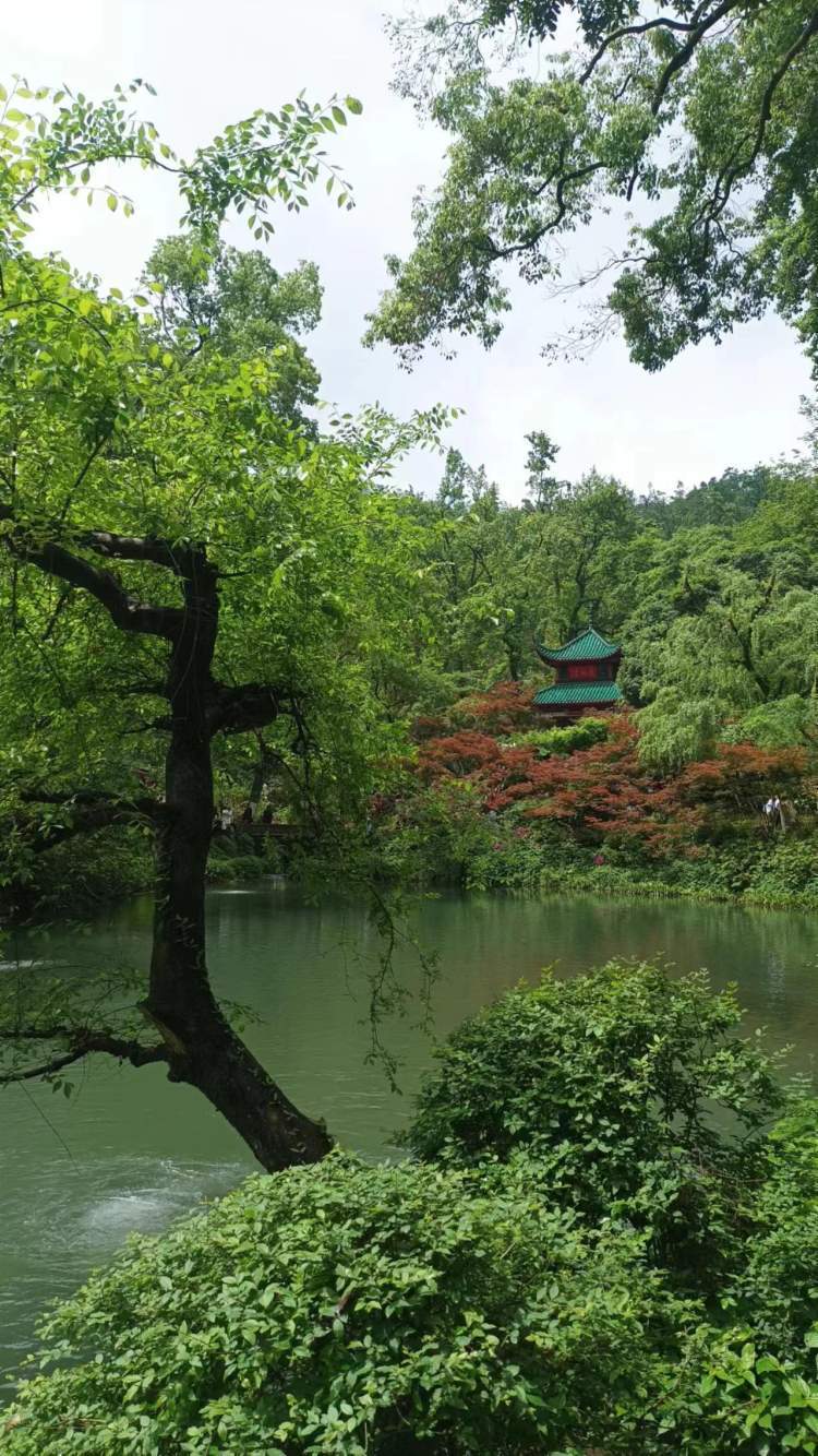 冒雨爬岳麓山