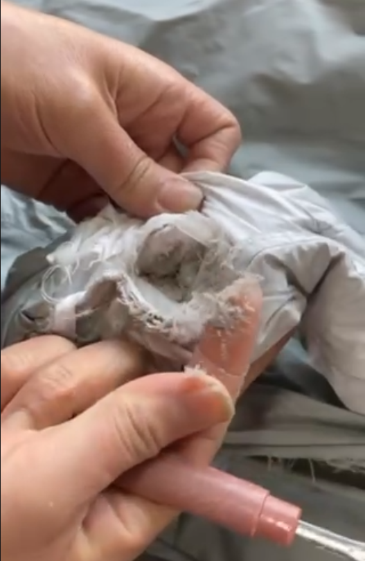 2000多元的羽绒服洗一次鹅绒全碎了商家不属于质量问题