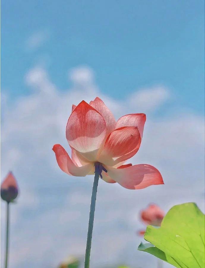 宋词里30句唯美神仙诗句:满满人生哲理,一定一定要抄下来