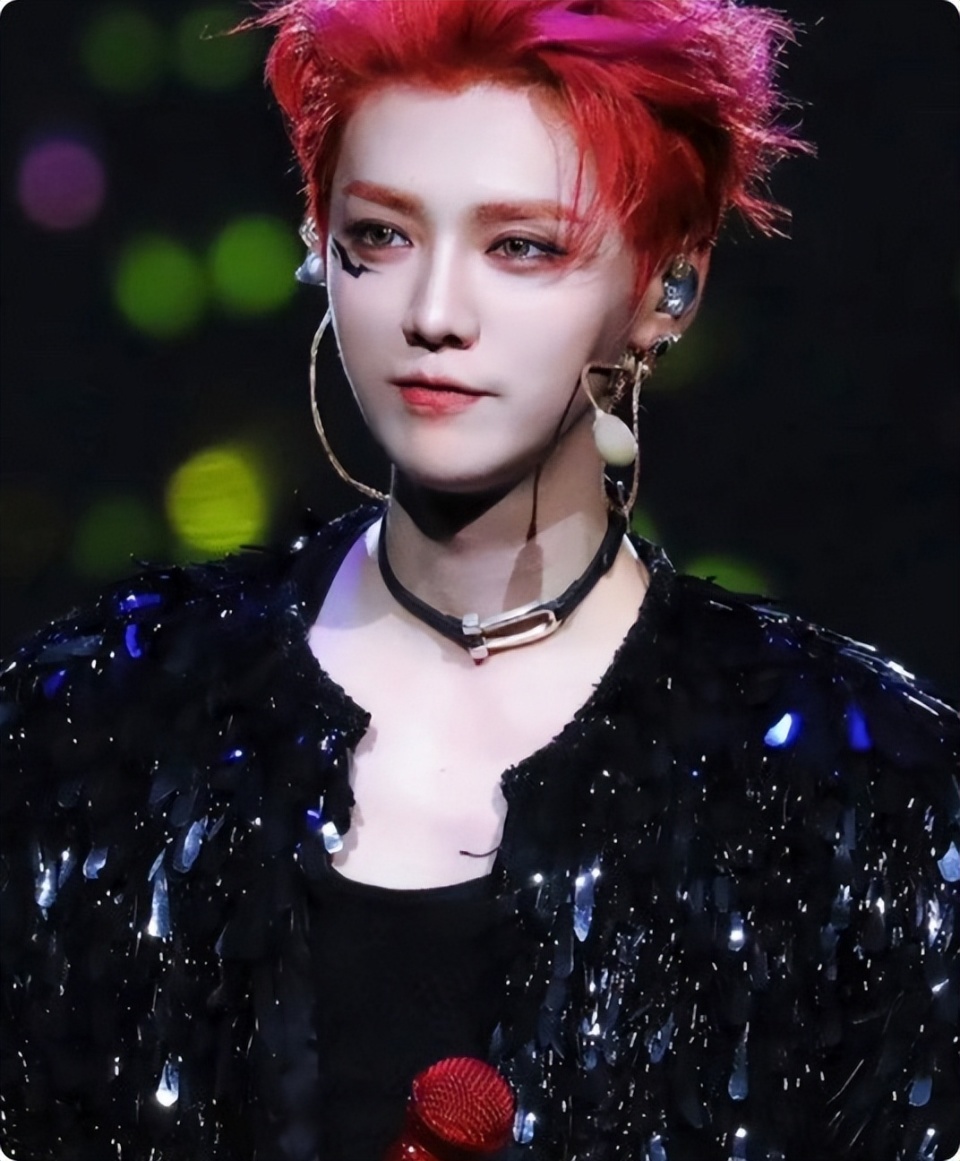 跑男重聚鹿晗演唱会,餐后合照暴露4人关系,李晨还是融入不进去