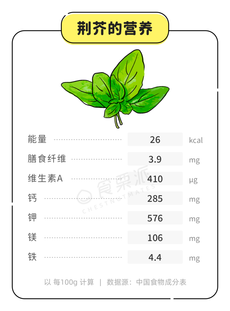 不同品种罗勒差别在哪？营养高又有啥作用？赶紧试试