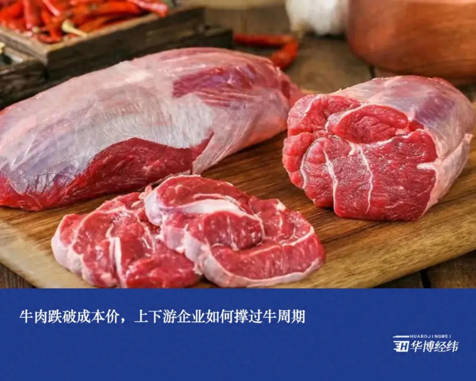 牛肉跌破成本價，上下游企業(yè)如何撐過牛周期