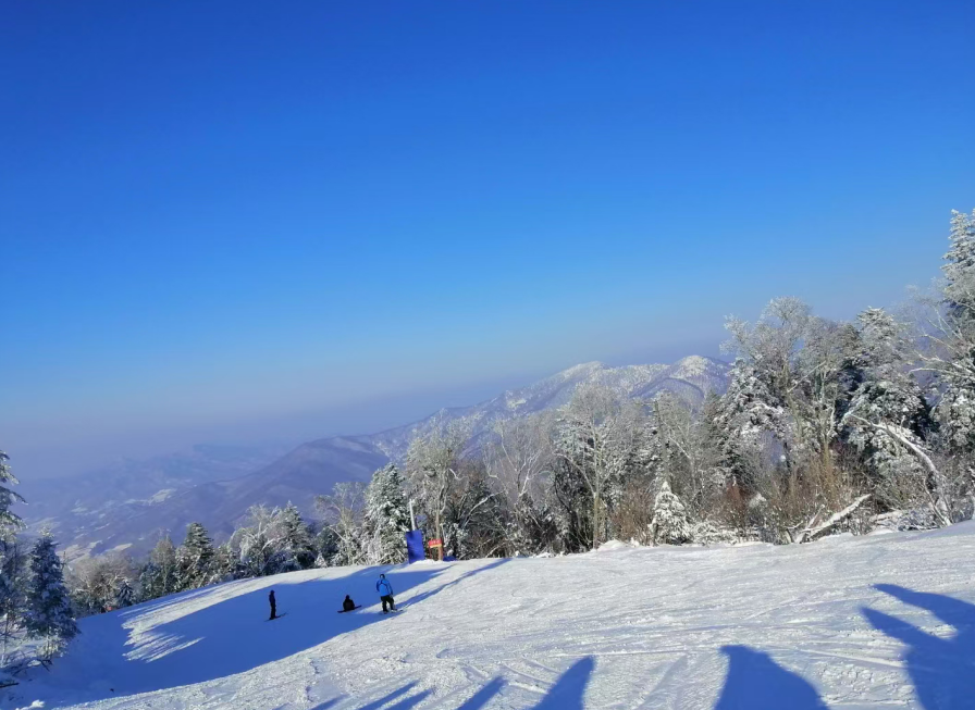 苍南玉苍山滑雪图片