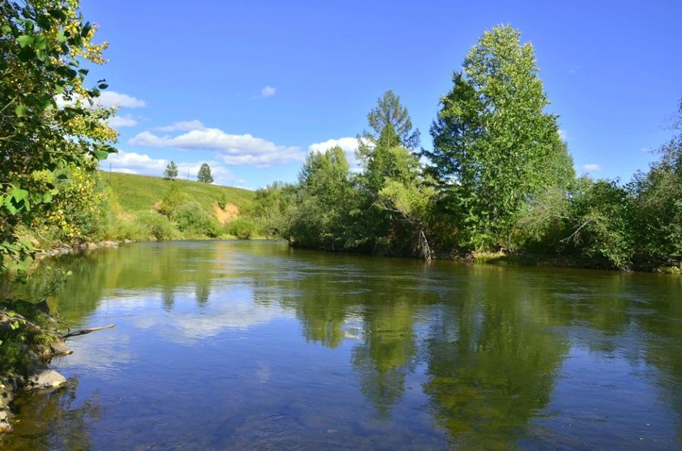 徜徉在额尔古纳湿地,仿佛天地间景色定格在此时此刻,美哉,额尔古纳