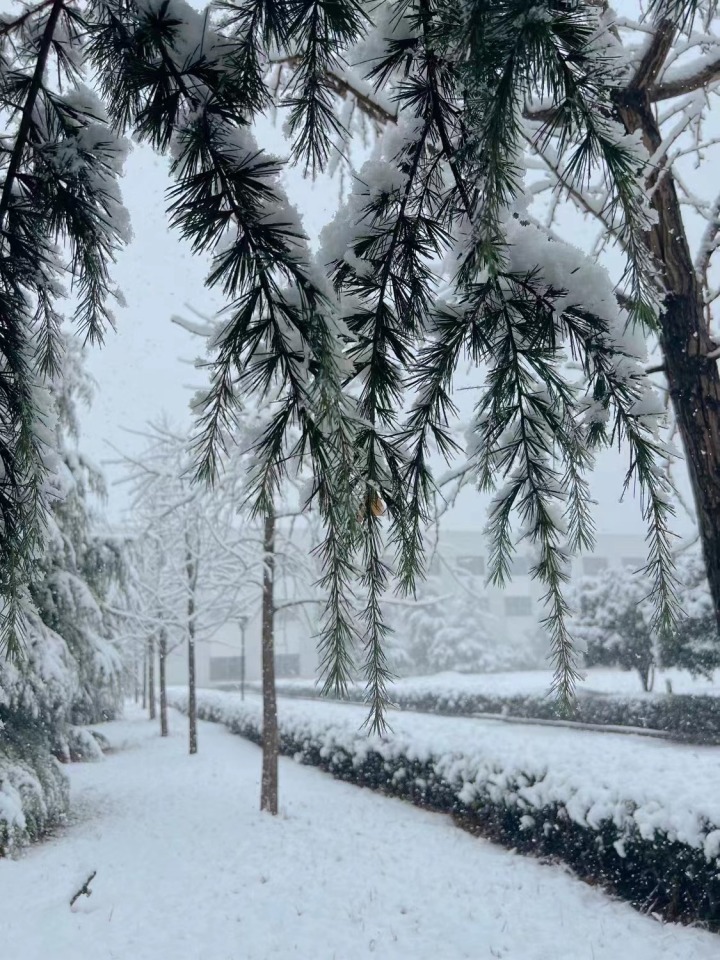 浙江多地景区下起鹅毛大雪