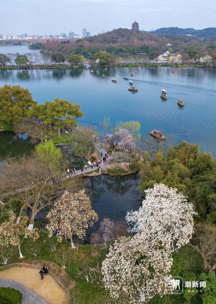 杭州西湖太子湾公园,赏花的人群与花海融为一体转载请注明出处