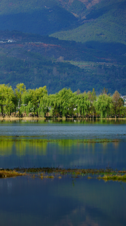 万千气象看云南丨洱源:问渠那得清如许_腾讯新闻