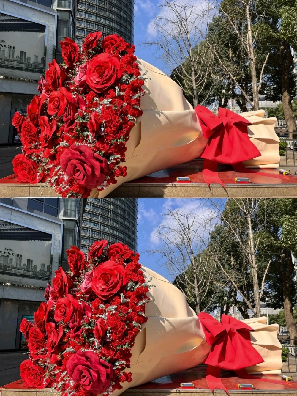 云南街头惊现巨型玫瑰花束 网友赞誉浪漫至死不渝_腾讯新闻