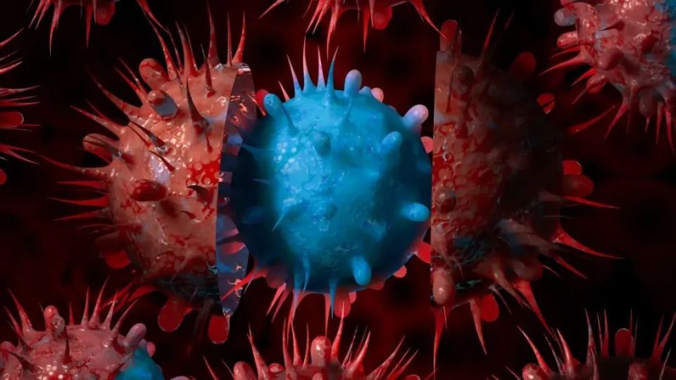 波士顿新闻总汇 | 美国出现新型新冠病毒变种