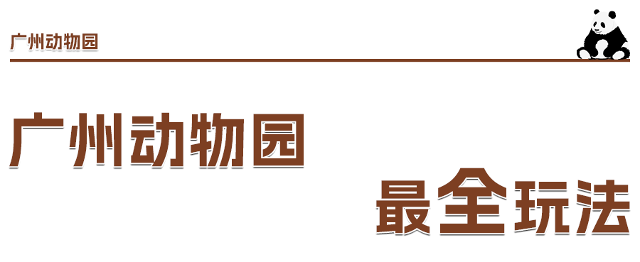 为什么周末广州有一半人都去了广州动物园？最新肖毅新闻2023已更新(知乎/腾讯)最新肖毅新闻