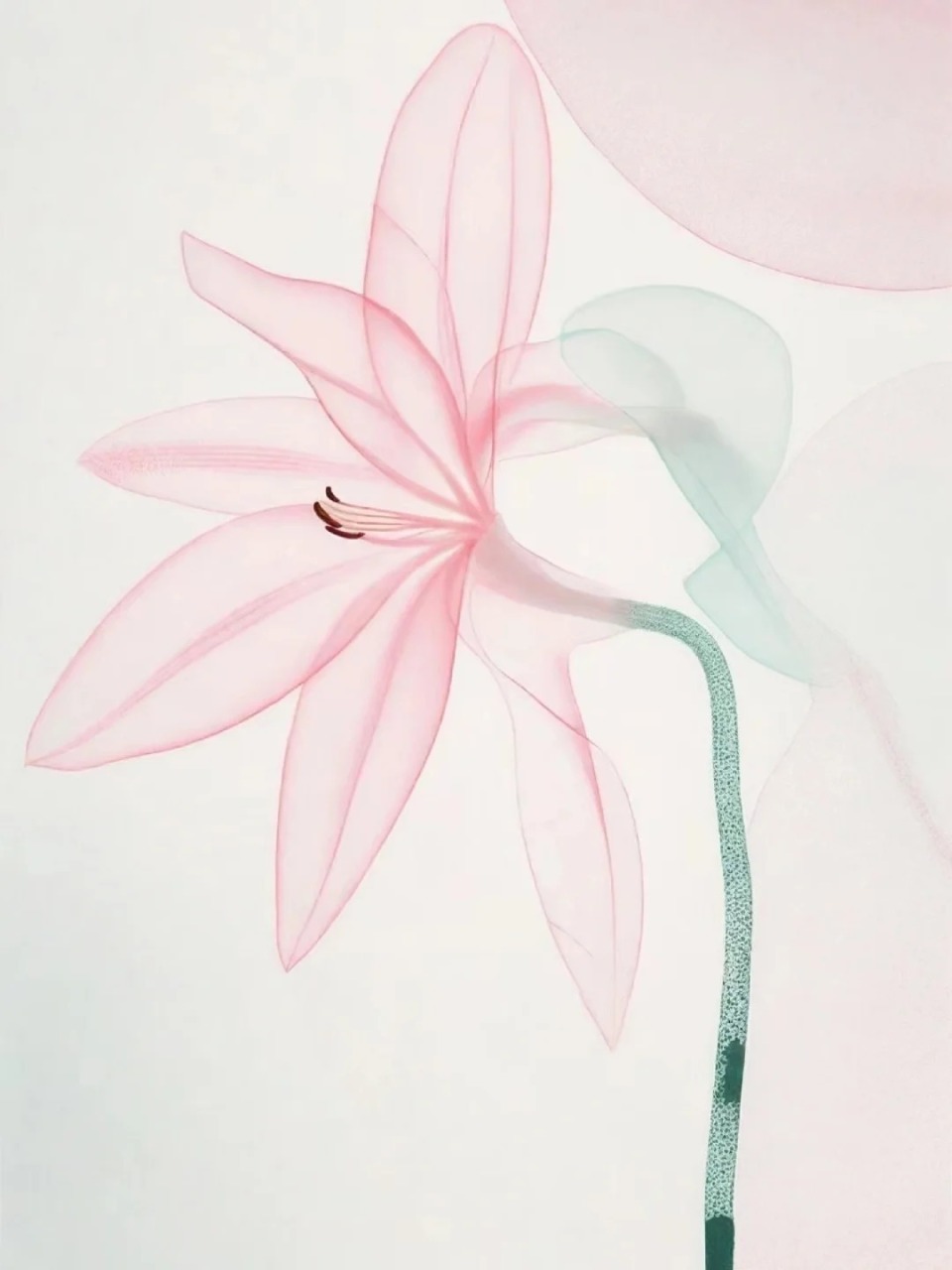 磵驿晓思》月落西山,子规声息,庭院内山杏花盛开如海,营造出月夜过后