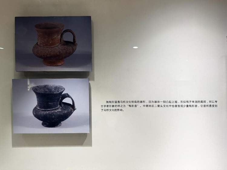 上海马桥文化展示馆图片