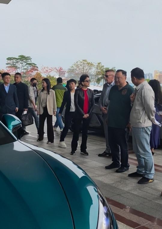 杨澜参加车展 全程被冷落 吴征大腹便便不正眼看她