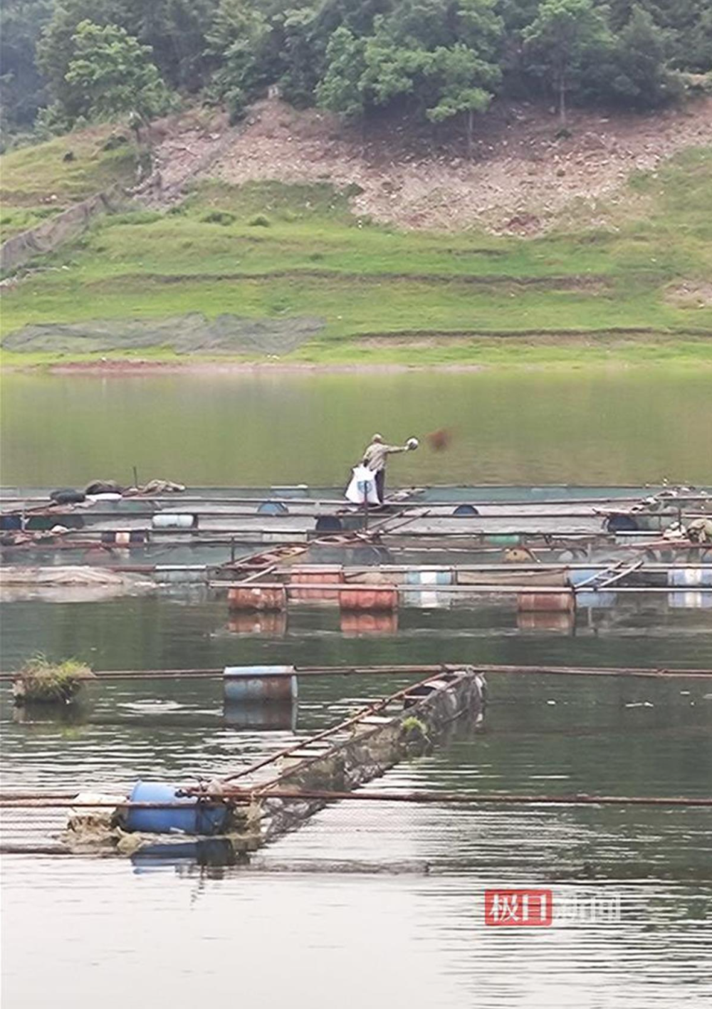 安康瀛湖库区养殖网箱拆除被指"宽严不一",一河两