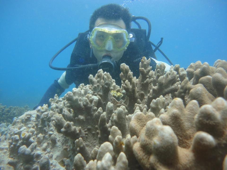 多人三亚潜水被强迫消费我在亚龙湾潜水被坑十分钟收费一千看到一条鱼