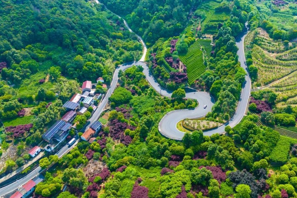 527国道的总长度为280公里‌,"起于宁波象山 ,经过宁海,新昌,嵊州